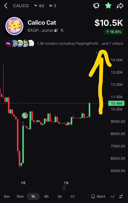A cryptocurrency trading chart for Calico Cat (token address BAQP…pump) showing a price of $10.5K with a 16.6% increase, with a hand-drawn yellow arrow pointing upward to indicate the rising trend.