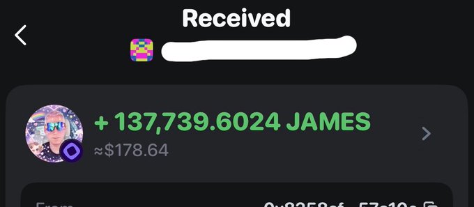 A mobile crypto wallet screenshot showing a received transaction of +137,739.6024 JAMES tokens (~$178.64), with the sender's profile featuring a person wearing a colorful party hat.