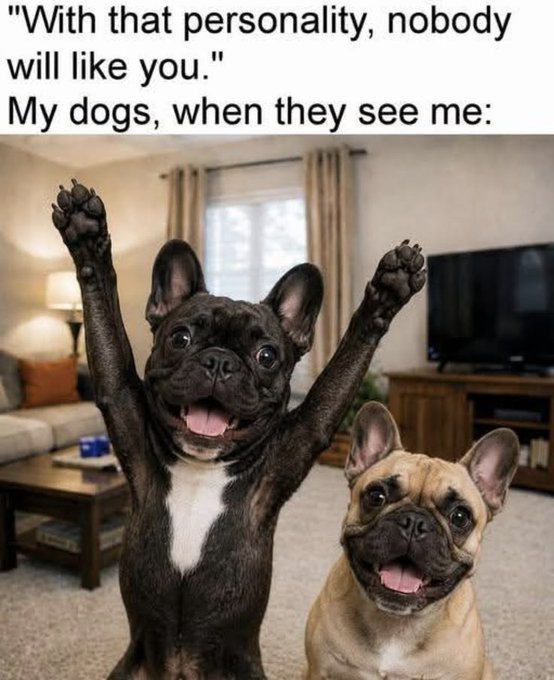 A meme featuring two happy French bulldogs with raised paws captioned '"With that personality, nobody will like you." My dogs, when they see me:'
