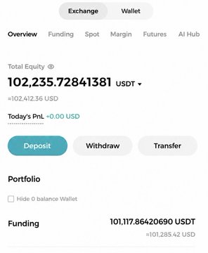 A screenshot of a cryptocurrency exchange account overview showing a Total Equity of 102,235.72841381 USDT, with Funding balance of 101,117.86420690 USDT.