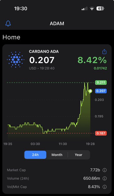 A mobile app screen showing the Cardano ADA cryptocurrency price at $0.207, up 8.42%, with a 24-hour chart and market stats.