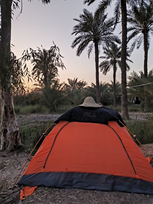 An orange and gray FILA-branded camping tent pitched in a palm tree grove at dusk, with a straw hat resting on top of the tent.