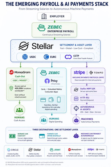 The image features a complex diagram that looks like a chart or flowchart, showcasing the financial infrastructure of various companies such as Zebec, Stellar, Circle, MoneyGram, Stripe, and Tempo. The diagram appears to be explaining the concept of emerging payroll and the role these entities may play in creating an automated system for employee payments. The text at the bottom of the image reads: "@StellarOrg". This suggests that the company @StellarOrganizer might contribute towards this financial infrastructure or possibly be a part of it as well, depending on the scale and complexity of the system being discussed here."