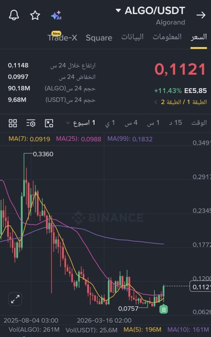 The image shows a Binance trading chart for ALGO/USDT (Algorand) with the current price at 0.1121, displaying an 11.43% gain and a notable high of 0.3360. The candlestick chart, overlaid with MA(7), MA(25), and MA(99) moving averages, illustrates the token's volatile price history between August 2025 and March 2026, aligning with the trader's strategy of entering at current levels around 0.1121, planning a secondary entry near 0.095, and targeting 0.215.