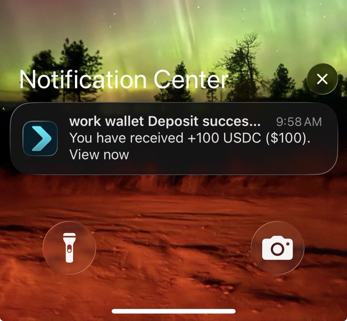 A smartphone notification center displays a message from 'work wallet' announcing a successful deposit of +100 USDC ($100), with icons for a flashlight and camera below.