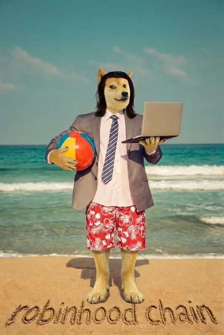 A Shiba Inu dog mascot wearing a suit, tie, and floral shorts standing on a beach holding a beach ball and laptop, with 'robinhood chain' written in the sand.
