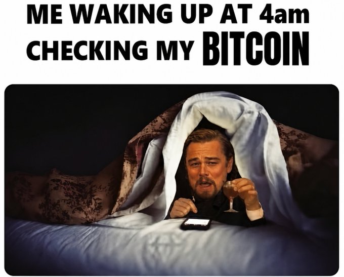 A meme featuring Leonardo DiCaprio hiding under covers in bed holding a champagne glass, with text reading 'ME WAKING UP AT 4am CHECKING MY BITCOIN'.