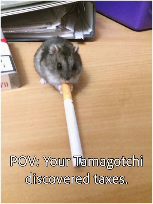 A small hamster sits on a wooden desk while holding a lit cigarette in its mouth, with text reading 'POV: Your Tamagotchi discovered taxes.'