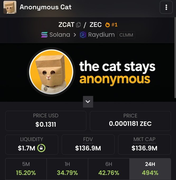 The image shows a crypto token page for "Anonymous Cat" (ZCAT/ZEC) on Solana via Raydium, displaying a price of $0.1311, $1.7M liquidity, $136.9M market cap, and a massive 494% gain in 24 hours, with the tagline "the cat stays anonymous." This visualizes the post's claim about cat memecoins like ZCAT reaching massive valuations, highlighting the strong "cat meta" performance that the author hopes competing cat tokens like CASHCAT can match.