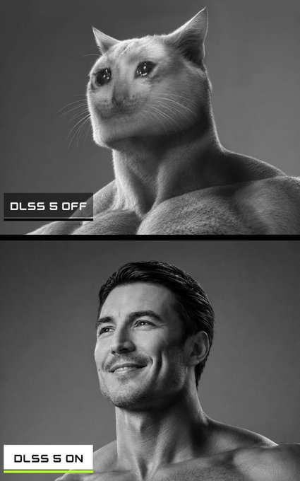 A meme comparing two images with "DLSS 5 OFF" showing a cat and "DLSS 5 ON" revealing a man, visually representing the transformation of the CashCat character into Vlad as referenced in the $CASHCAT lore.