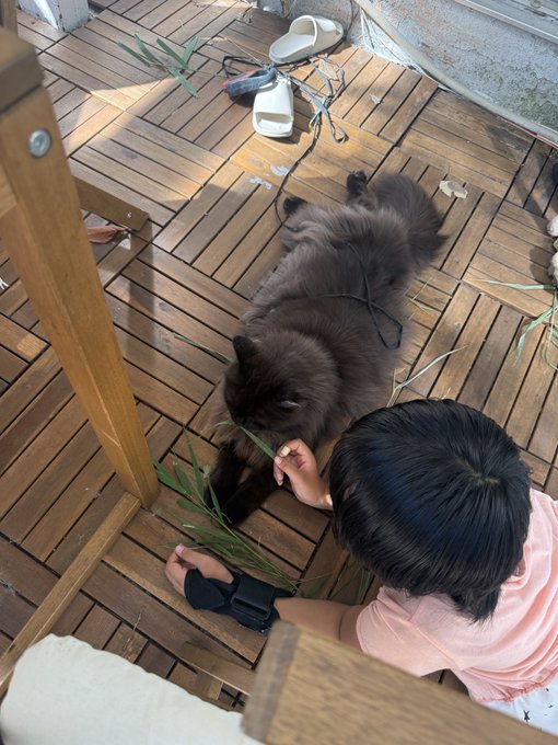 A child plays with grass near a relaxed dark dog on a wooden deck, while a pair of sandals sits nearby — capturing the nostalgic, Showa-era Sunday atmosphere referenced in the post about a quiet day with neighborhood kids and an evening bath with his son.