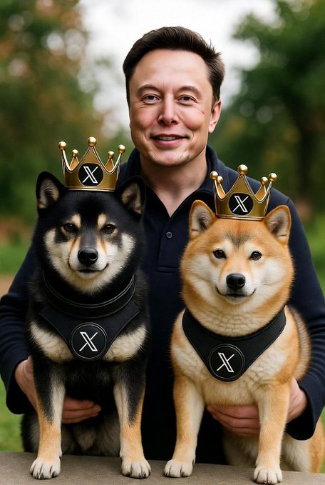 A digitally edited image of Elon Musk posing with two Shiba Inu dogs wearing black bandanas with an 'X' logo; both dogs also have gold crowns featuring the 'X' logo, referencing the X (formerly Twitter) social media platform.