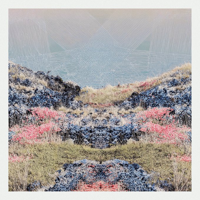 An artistic landscape photograph depicting a mountainous scene with pink and yellow flora in the foreground and a starry sky overlaid with geometric line patterns.