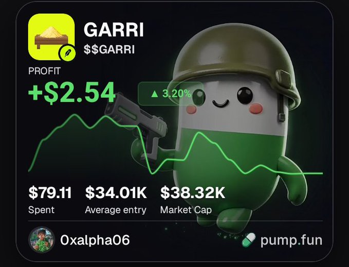 A cryptocurrency profit screenshot showing 'GARRI $GARRI' token with a profit of '+$2.54' and a 3.20% increase, featuring a cartoon mascot in a military helmet holding a gun.