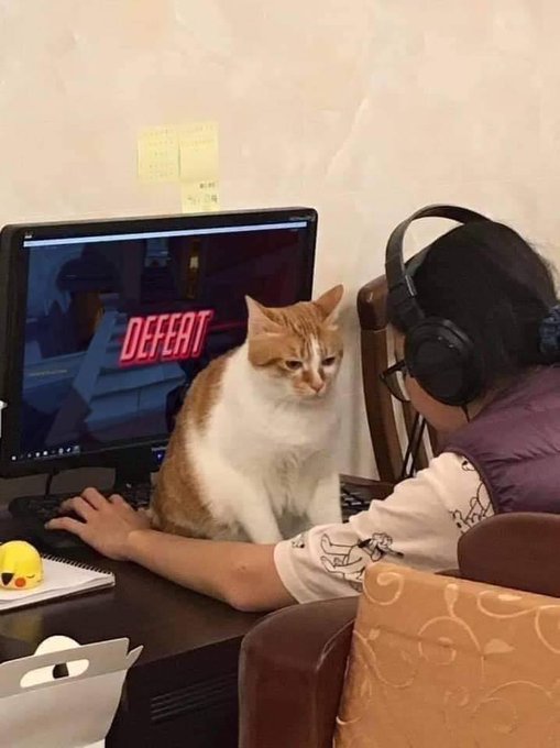 A gamer wearing headphones and glasses sitting at a computer displaying a 'DEFEAT' screen, with an orange and white cat sitting on the desk next to the keyboard.