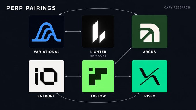 The image, titled "PERP PAIRINGS" by Capy Research, displays a diagram of six perpetual trading platforms—Variational, Lighter (RH + Core), Arcus, Entropy, TxFlow, and RisEx—with arrows indicating cross-platform trading pairings between them. The illustration visually supports the accompanying post's advice on strategic platform pairing for farming perp points, highlighting how connecting different protocols like Variational-Lighter or Entropy-TxFlow-RisEx can optimize trading combinations.