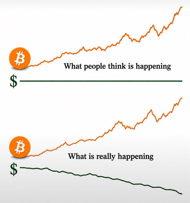 A meme chart showing Bitcoin's price rising in two graphs, comparing 'What people think is happening' (with a flat dollar line) versus 'What is really happening' (with a declining dollar line).
