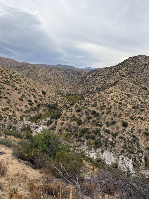A rugged, arid mountain landscape with sparse scrub vegetation under a cloudy sky, looking down into a rocky canyon.