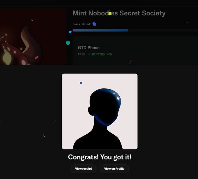 Screenshot of an NFT minting confirmation page titled 'Mint Nobodies Secret Society' showing a 'Congrats! You got it!' message with options to 'View receipt' or 'View on Profile'.