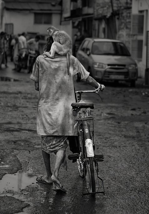 A black and white photo shows a man in a worn tunic walking barefoot down a wet street, pushing a bicycle with a monkey perched on his shoulder.