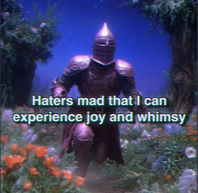 A meme featuring an armored knight from a video game walking through a flower field, with the text 'Haters mad that I can experience joy and whimsy' and a watermark 'The Hog Mage'.
