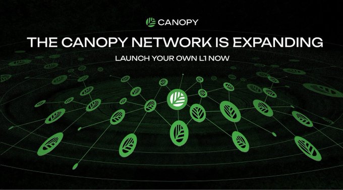 Promotional graphic for Canopy with the text 'THE CANOPY NETWORK IS EXPANDING - LAUNCH YOUR OWN L1 NOW' displayed over a green network visualization of connected leaf icons.