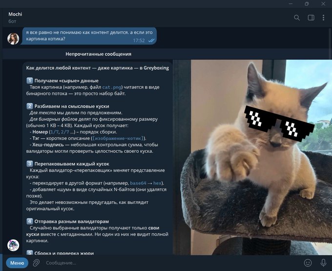 Telegram chat screenshot in Russian discussing hash delimiter content, alongside an image of a fluffy cat wearing pixelated sunglasses.