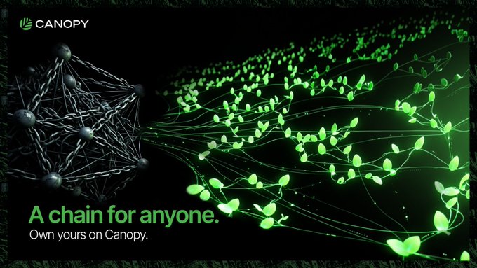 A promotional banner for Canopy displays the tagline "A chain for anyone. Own yours on Canopy." alongside visuals of interconnected nodes and glowing green vines, symbolizing a customizable blockchain network that complements the post's theme of solving the high operational costs and infrastructure challenges that remain after code is generated.