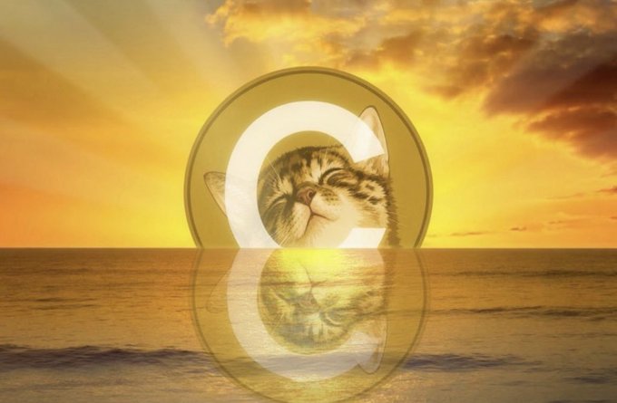 A serene sunset over the ocean frames a large transparent "C" logo containing a content cat's face, symbolizing the hope and aspiration of $CATE holders like PoorGoat, who has invested $1.5M chasing a moonshot to escape his small portfolio—reflecting the dreamy, golden-hued optimism of betting everything on one last chance.