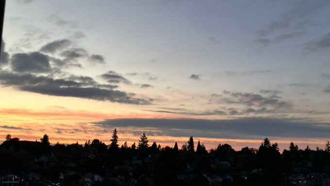 A scenic sunset photograph with orange and pink hues in the sky, silhouetted treetops and rooftops of a suburban neighborhood in the foreground.