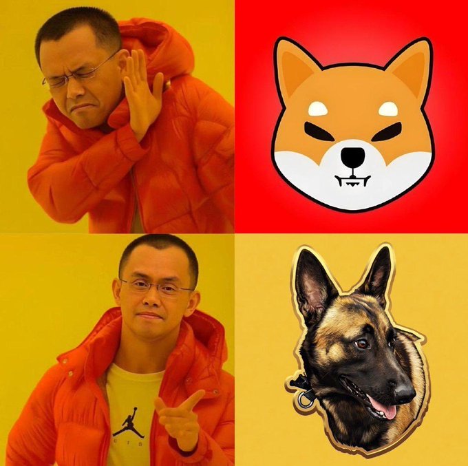 The image features a collage with four different pictures, each depicting a man wearing an orange jacket and glasses, accompanied by a dog head or face. The first picture shows a man wearing an orange hoodie and glasses standing next to a brown and white dog's head. The second picture is the same man in an orange hoodie holding his hand up to his face as if he's making a funny face for the camera.
The third picture features another man with an orange hoodie, but this time he has his hand on his hip instead of his face. The fourth picture shows the same man wearing glasses and standing next to a brown and white dog head.
