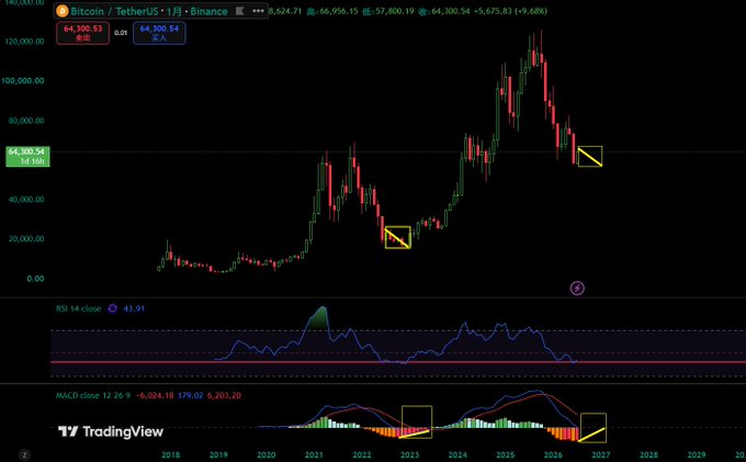 A TradingView chart of Bitcoin/Tether (BTCUSDT) on Binance showing a long-term price decline from ~$120,000, with RSI (14 close) at 43.91 and MACD indicators below.